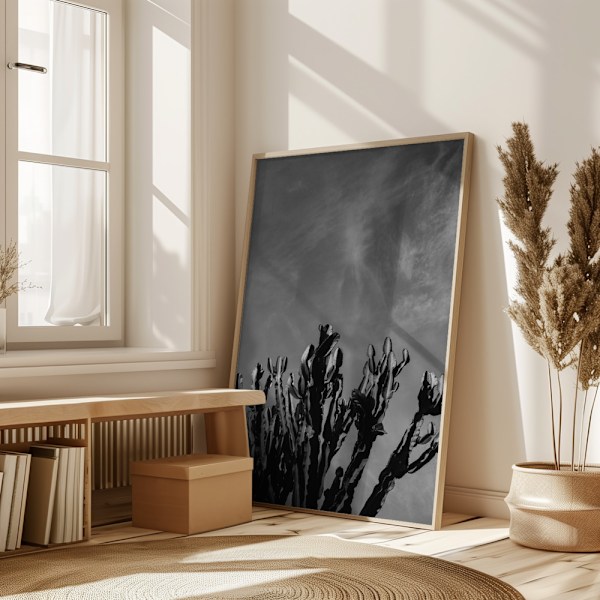 Monochrome Cactus Sky Poster 50x70 cm