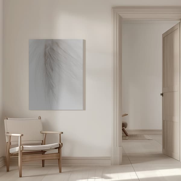 White Feather Canvastavla 50x70 cm
