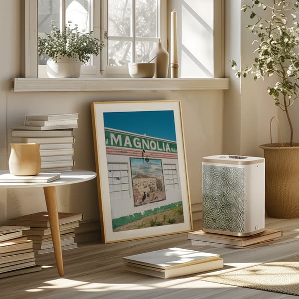 Route 66 IX Poster 50x70 cm