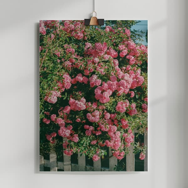 Cannon Beach Blooms Poster 50x70 cm