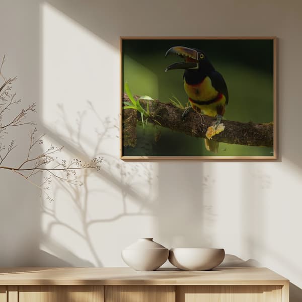 Banana lover Poster 40x30 cm