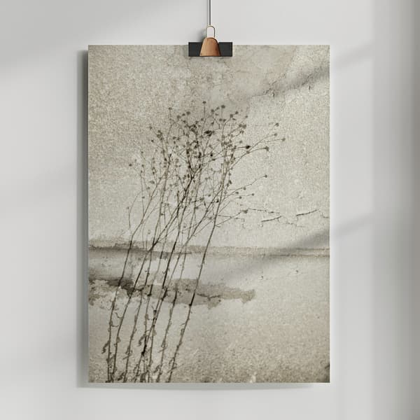On the concrete Poster 50x70 cm