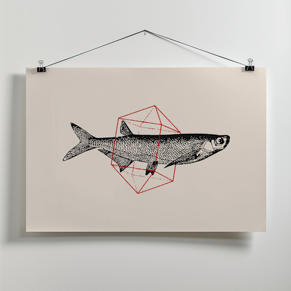 Fish In Geometrics Nº2 Canvastavla 40x30 cm