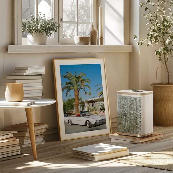 Palm Springs Thunderbird Poster 50x70 cm