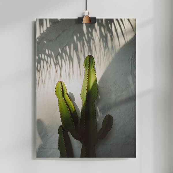 Socal Shadows Poster 50x70 cm