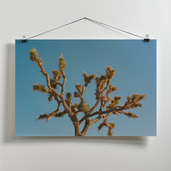 Joshua Tree Moon III Canvastavla 40x30 cm