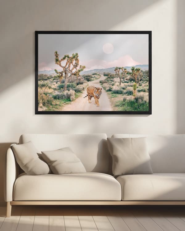 Wandering Tiger Poster 70x50 cm