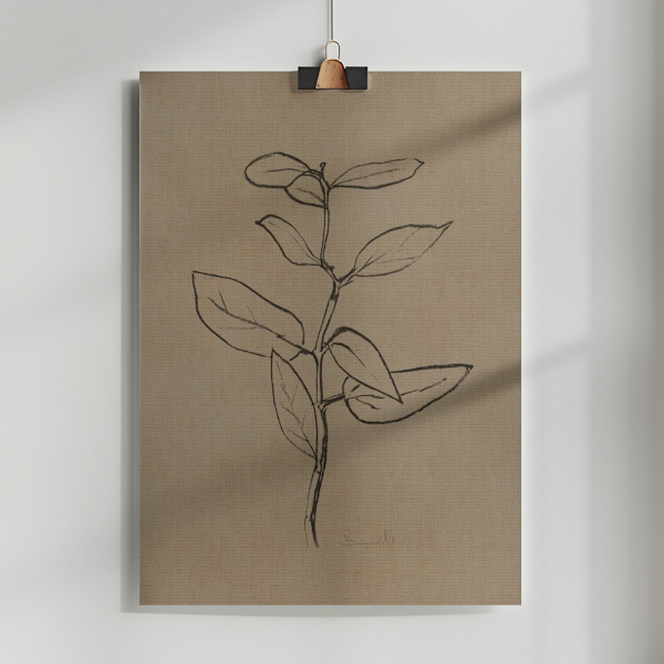 Eucalyptus Sapling Poster 50x70 cm