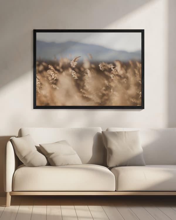Marsh Grass No.11 Poster 70x50 cm
