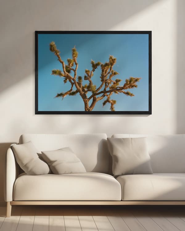 Joshua Tree Moon III Poster 70x50 cm