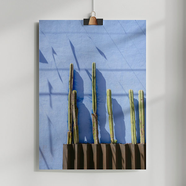 Tall Cacti | Oaxaca Mexico travel photography Poster 50x70 cm