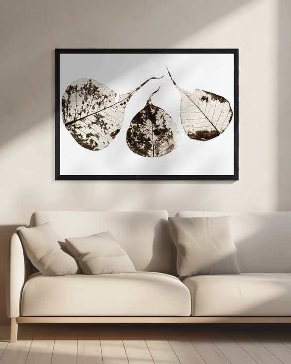 Fallen Leaves #1 Poster 70x50 cm