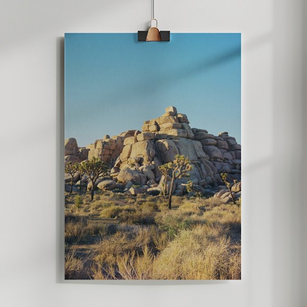 Joshua Tree Sunset Poster 50x70 cm