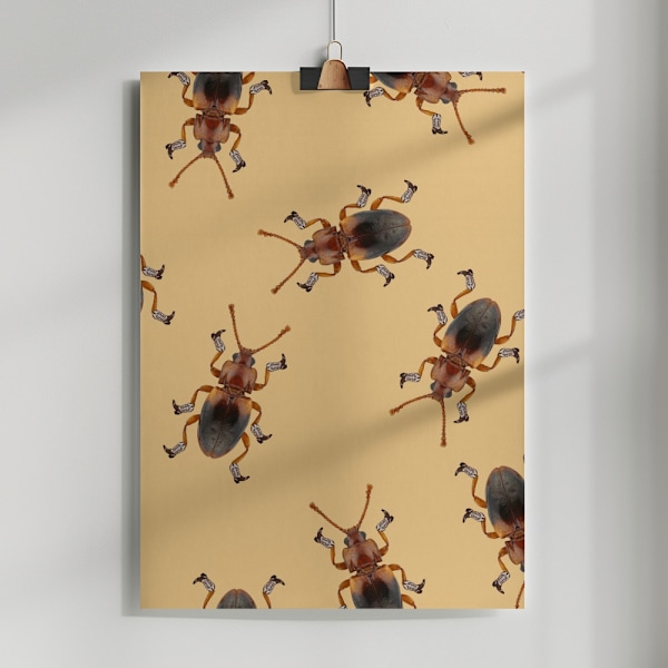 Billy The Booted Beetle Poster 50x70 cm