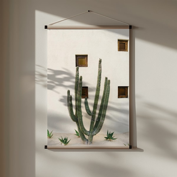 Cabo Cactus Ix Poster 30x40 cm