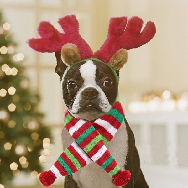 Hund jul Ren Älg horn pannband och röd-vit-grön randig halsduk Set Husdjur jul kostym