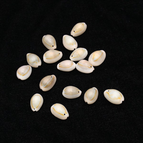 50 st Conch Shell Sea Glass Crafts Pärlor Hårflätor Smycken