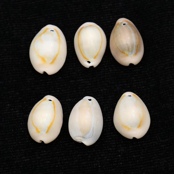 50 st Conch Shell Sea Glass Crafts Pärlor Hårflätor Smycken