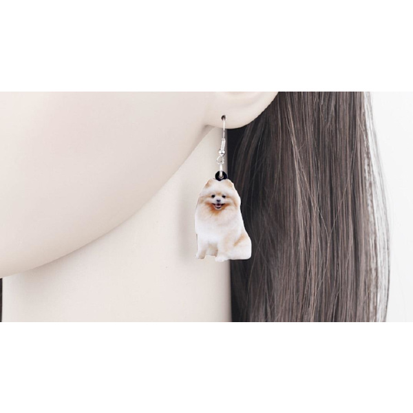 Earrings - Pomeranian - Acrylic Multicolor