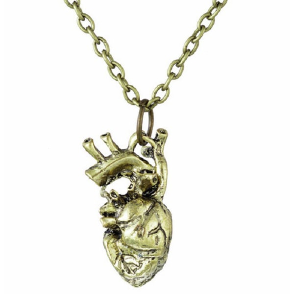Halsband Anatomiskt Hjärta Brons Anatomi Brons