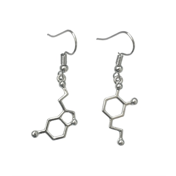 Örhängen Molekyl Dopamin Serotonin Asymmetriska Rostfri Krok Silver