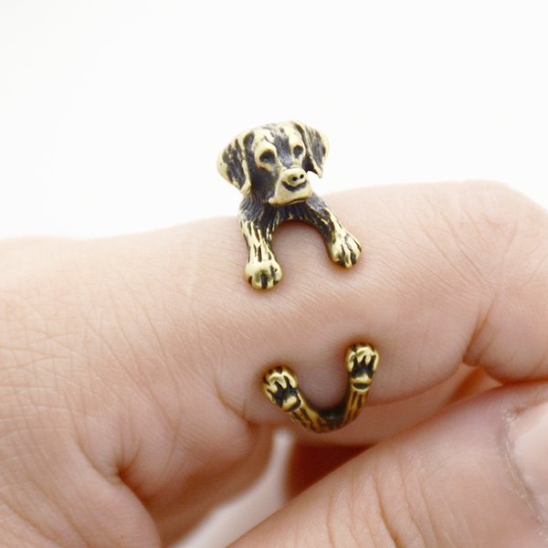 Ring Golden Retriver Hund Djur Animal Ring Guld