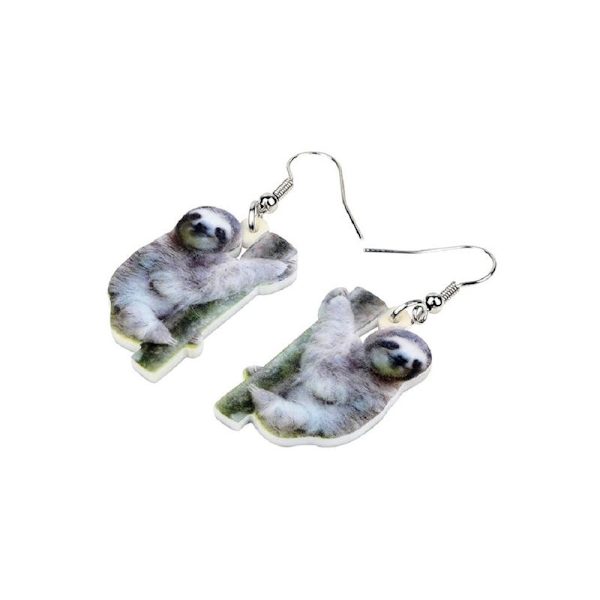 Örhängen Sengångare Sloth Djur Regnskog Vit