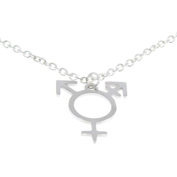 ChokerTranssymbol Pride Regnbågssmycke Rostfritt HBTQ Silver