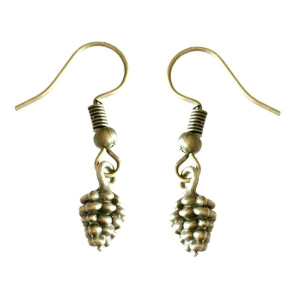 Örhängen Kotte Brons Pine Cone Höst Bronze