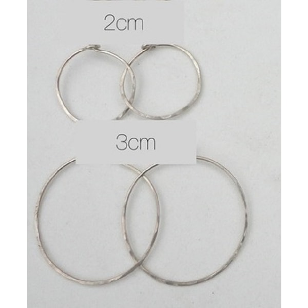 Hoop øreringe Ananas Pineapple Rustfri Hoops - 2 størrelser Silver 3cm