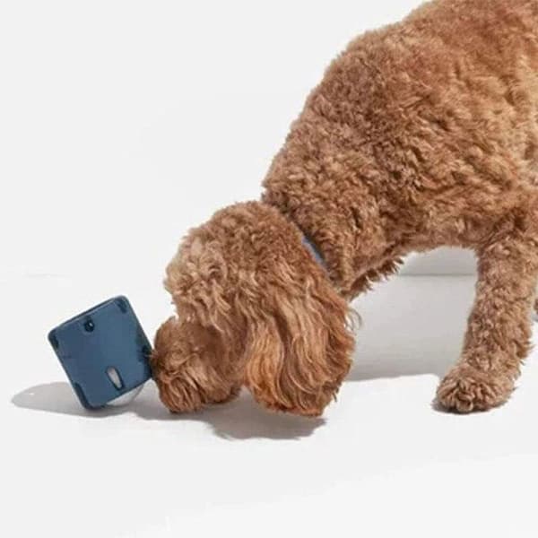 1 hundetyggeleke, tenniskopp, lilla bitering