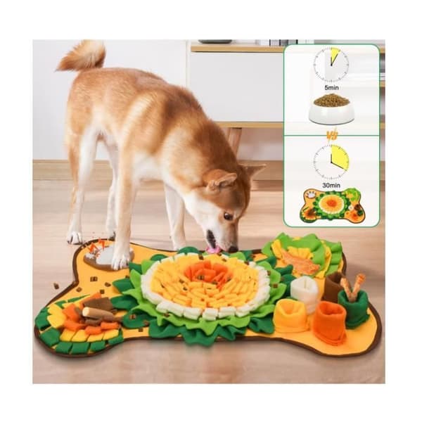 Snusematte - Sammenleggbar - Sklisikker - 64x43 cm - For voksne hunder