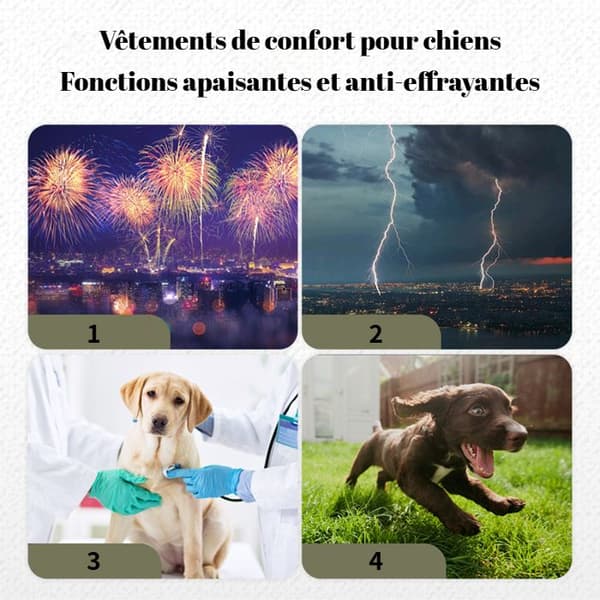 Komfortabel hundejakke - varm vinterbomullsjakke - reflekterende design - egnet for ulike hunderaser L Style 2