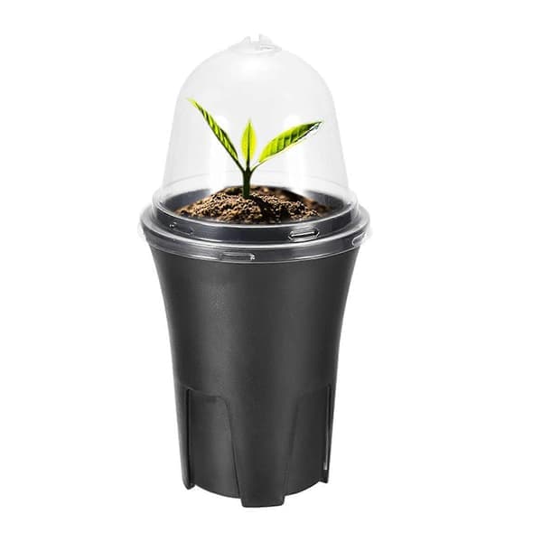 6 stk. plastpotter for såing, for sukkulenter, stiklinger, omplanting, blomster, planter, grønnsaksbeholdere