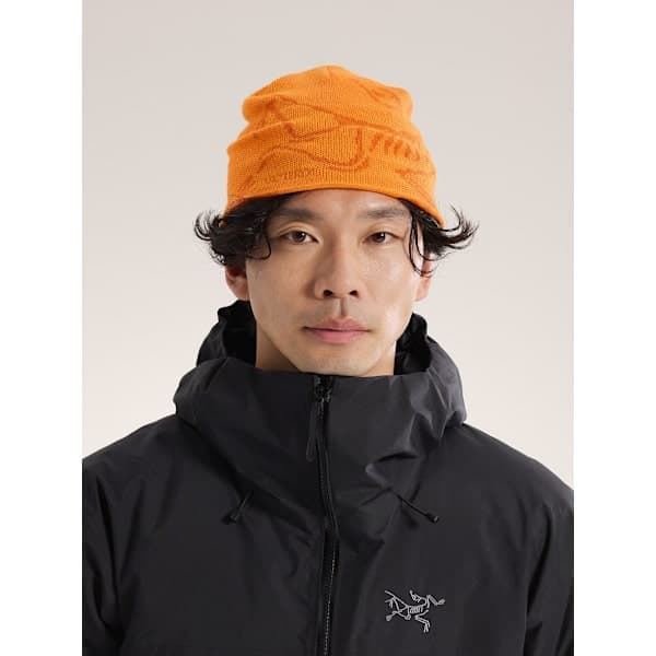 Arc'teryx Bird Head Toque Mössa Svart Merinoull Stickad Vintermössa Unisex Ljusgrå light gray