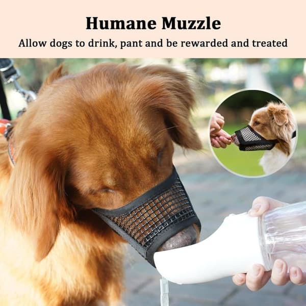 Hundemunnkurv - S - Myk netting - Svart