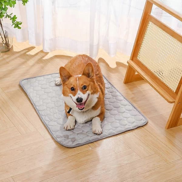 Brun 2XL 150×100cm Kølemåtte til hunde, Sommer Kold Sengemåtte til hunde og katte