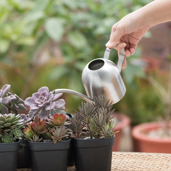 Mini vandkande med lang tud til potteplanter i haven - Perfekt