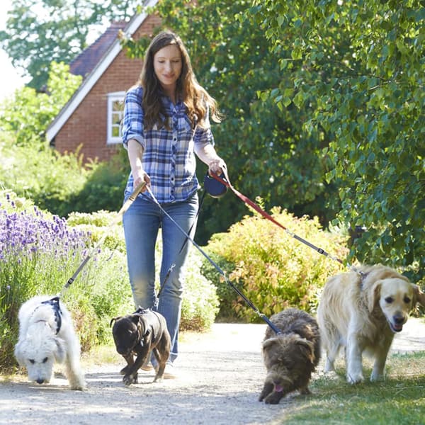 Hundhalsbandsklämmor, 2 st reflekterande nylonkoppel för extra säkerhet