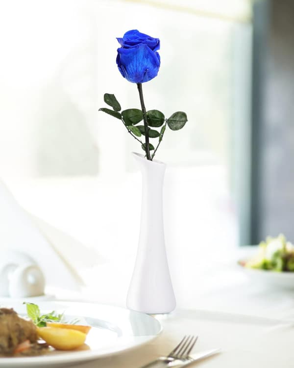 Levering med blå blomster Prime, konserverede blå roser til damer, ægte roser.