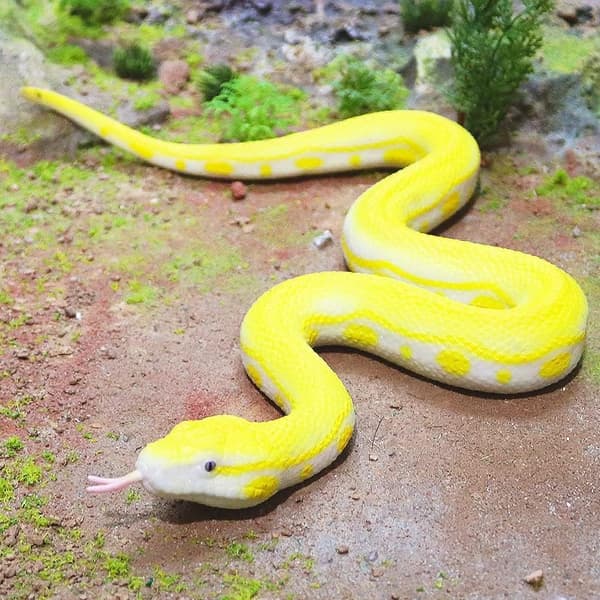 Realistisk Fake Slange Legetøj - Blød Gummi Python Figur til at Skræmme Fugle & Egern, Halloween Prank Legetøj til Havebeskyttelse