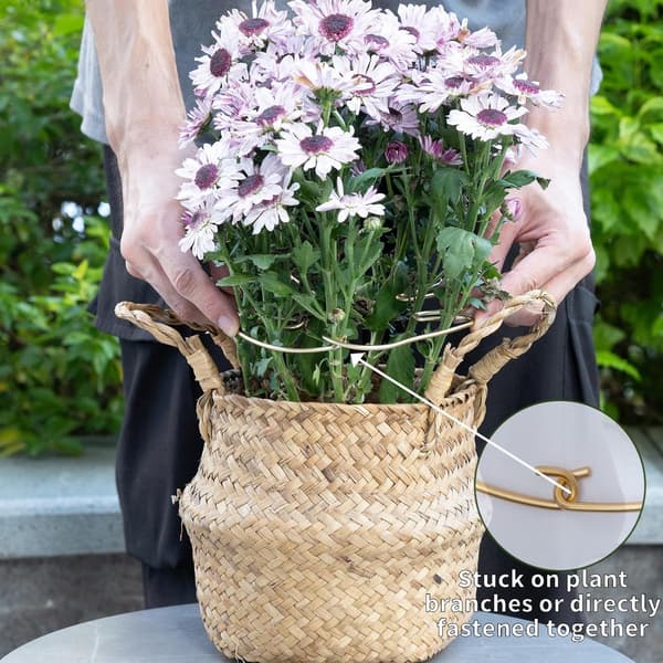 Växtstöd - 5 Delar - Klätterväxtstöd - Metallväxtstöd - Inomhusväxtstöd - Idealiskt Växtstöd för Blommande Växter - Guld