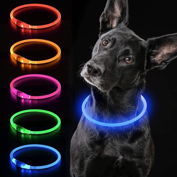 1 st självlysande hundhalsband (blå), USB uppladdningsbart LED-hundhalsband,