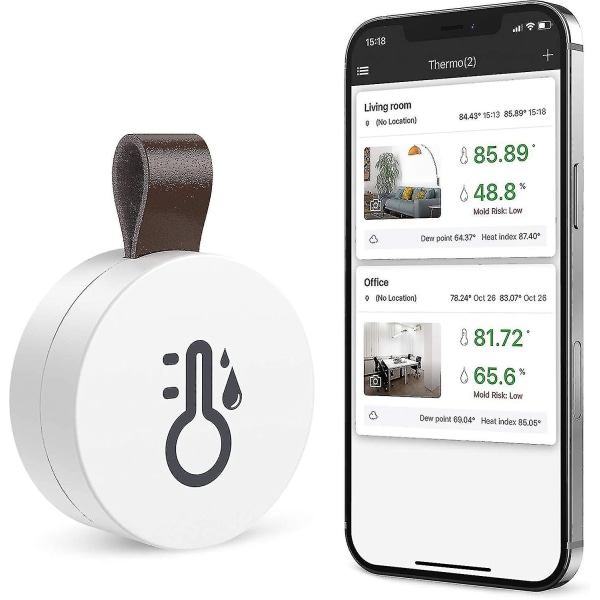 Bluetooth termometer hygrometer, indendørs termo-hygrometer trådløs mini med dataeksportfunktion, kompatibel med Ios og Android til vin, Living R