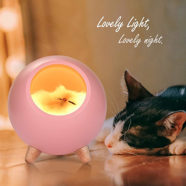 Barn Nattlys Kattelampe Enkel Katt Pet House Bordlampe Dual Power Usb Charging Touch