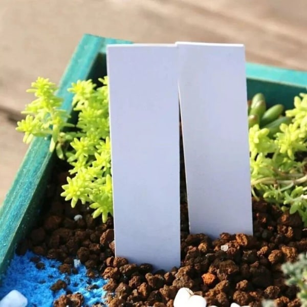 100st Trädgård Växtetiketter Växttillbehör Blomkrukor Plast Växtetiketter Plantskolor Taggar Fröplanta Taggar Bricka Taggar Gör-det-själv-verktyg 5×1cm Blå