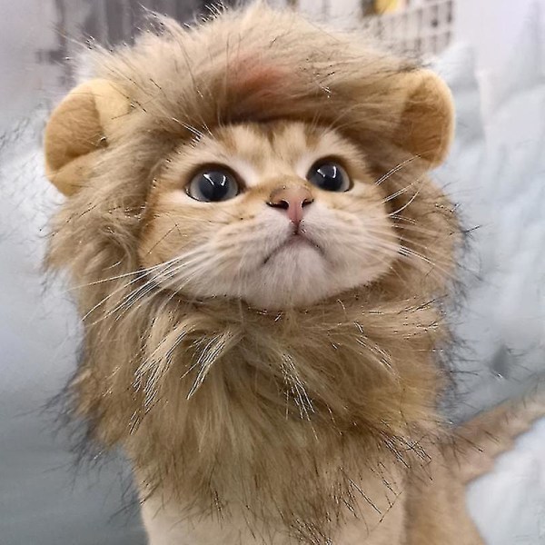 Lion's Mane Cat Costume - Halloween Specialm, 32cm