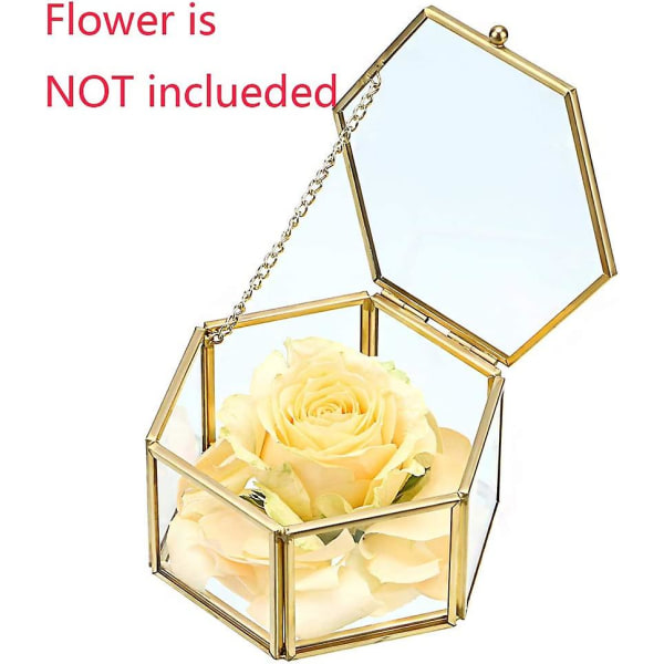 Konserverad blomma glaslåda, sexkantig glas smycken dekorativ ask, utsmyckad prydnadsföremål Display Organizer Case Minnesak Box Present för kvinnor och flickor