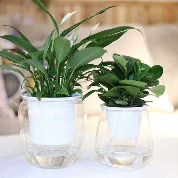 Transparent orkidékruka, elegant plastblomkruka, köttig grön växt av Automatic Absorbent Plastic Lazy Flower Pot Flower Pot - MODOU