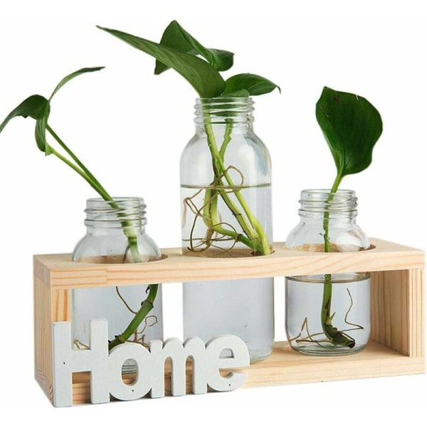 Vaso cilindrico in vetro da 3 pezzi, vaso per fioriera da tavolo in vetro med stöd i legno massello retro per piante idroponiche